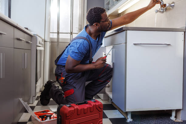 Best Commercial Plumbing Services  in St Louis Park, MN